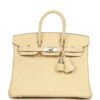 Hermès Birkin Shadow 25 Nata Swift Palladium Hardware
