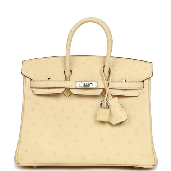 Hermès Birkin Shadow 25 Nata Swift Palladium Hardware
