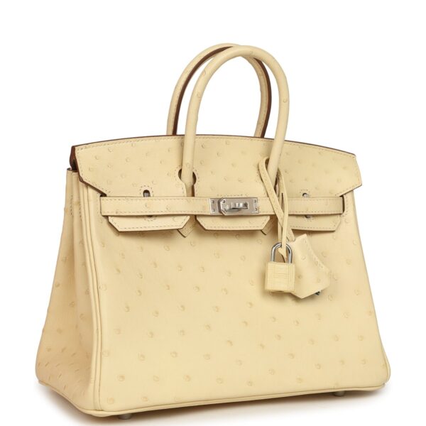 Hermès Birkin Shadow 25 Nata Swift Palladium Hardware