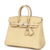 Hermès Birkin Shadow 25 Nata Swift Palladium Hardware