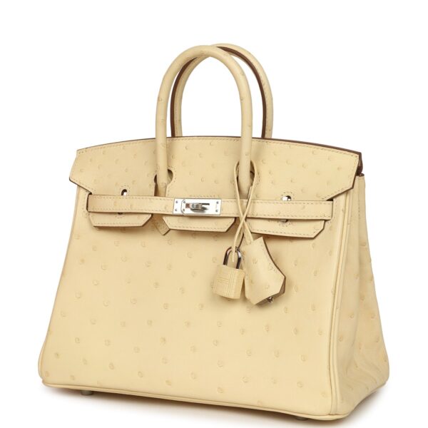Hermès Birkin Shadow 25 Nata Swift Palladium Hardware