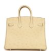 Hermès Birkin Shadow 25 Nata Swift Palladium Hardware