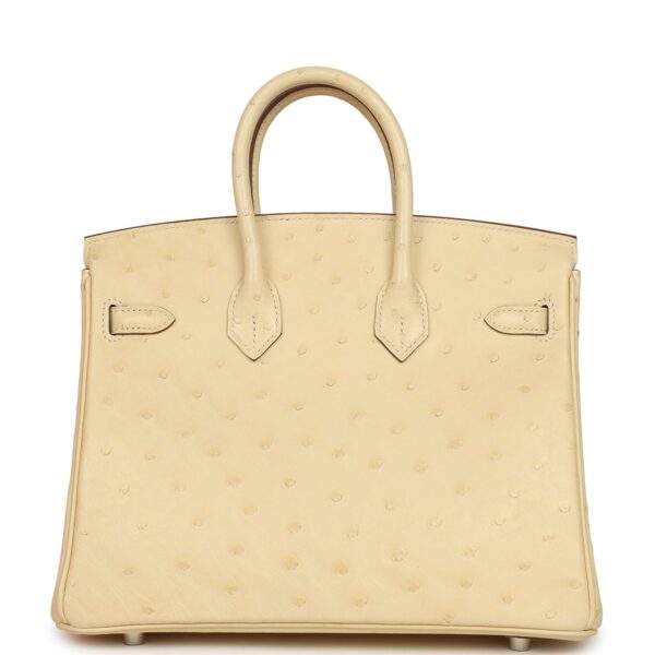 Hermès Birkin Shadow 25 Nata Swift Palladium Hardware