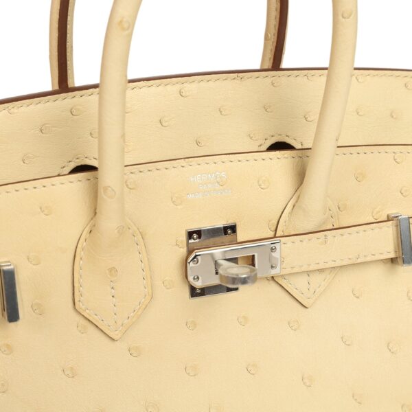 Hermès Birkin Shadow 25 Nata Swift Palladium Hardware