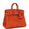 H-B-260512-2-CL-02 Hermès Birkin 25 Tangerine Ostrich Palladium Hardware