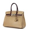 Hermès Special Order (HSS) Birkin 30 Poussiere, Amethyst Matte Alligator Palladium Hardware
