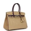 Hermès Special Order (HSS) Birkin 30 Poussiere, Amethyst Matte Alligator Palladium Hardware