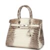 Hermès Birkin 30 Himalaya Niloticus Crocodile Palladium Hardware