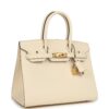 Hermès Birkin Sellier 30 Nata Epsom Gold Hardware