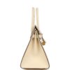 Hermès Birkin Sellier 30 Nata Epsom Gold Hardware
